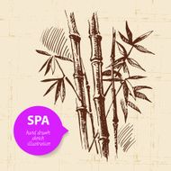 SPA Background N15