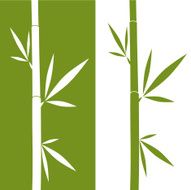 Bamboo N30