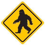 Yeti Sign N2