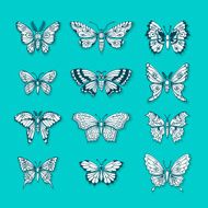 Set of Butterflies Decorative Isolated Silhouettes in Vector N7