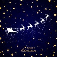 Vector Christmas Background N48