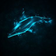 Neon dolphin N2