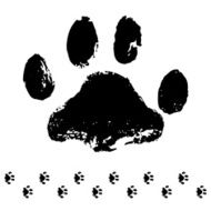 cat track