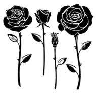 Roses N88