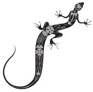 Lizard in black and white