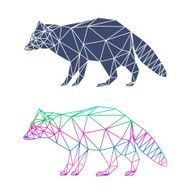 Abstract geometric raccoon set isolated on white background