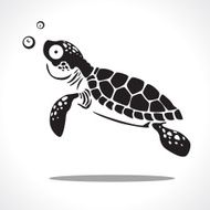 Turtle N24
