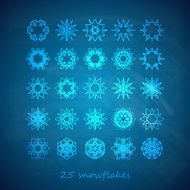 vector set of 25 graceful snowflakes on the blue backgrond N2
