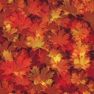 EPS10 Autumn leaves seamless background Vector illustration N2