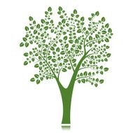 Vector tree silhouette isolated on white background