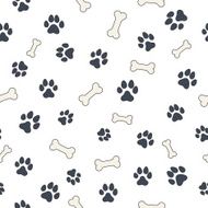 Bones and paws