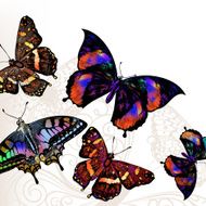 Butterfly vector background N2