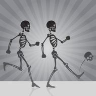 Skeleton Activities N2