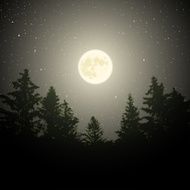 Moon over trees