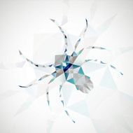 Abstract Spider illustration N5