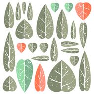 Set of leafs N2