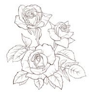 Rose flower Hand-drawn contour lines and strokes Element for design N3