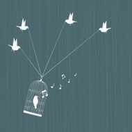 birds rescuing their which is in birdcage