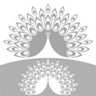 Abstract Peacock N5
