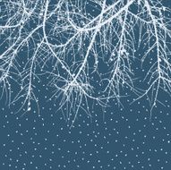 winter background N72