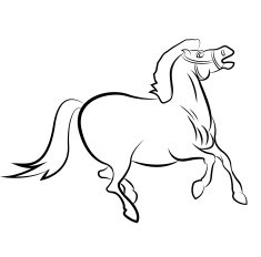 Horse Sketches N2