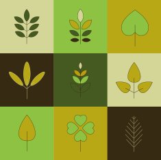 set of different trees - Illustration N2