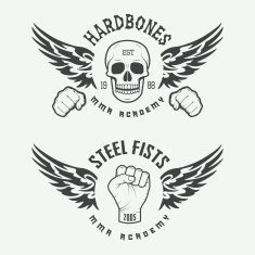 Set of vintage mixed martial arts logo badges and emblems N5