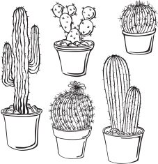 vector silhouettes of cacti