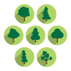 Tree icon set Simply circle green flat pictograms N2