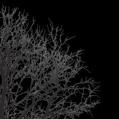 autumn branches black01