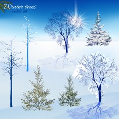 Winter trees set N2