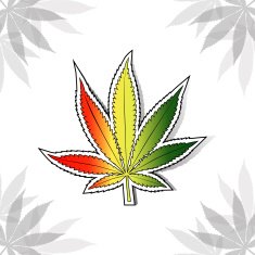 Cannabis leaf with rastafarian flag colors N2