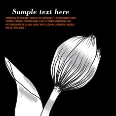 Black and white silhouette of tulip