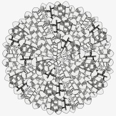 Pattern for coloring book Feathers N6