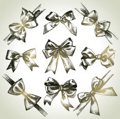 Set of bow N5