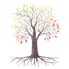 lovely autunm tree N3