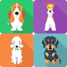 set dogs icon flat design N3