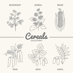 Set of six cereals N2