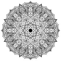Vector black ornate mandala N2