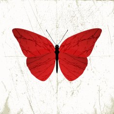 grunge butterfly illustration on scratch background