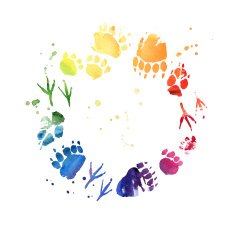 Animal footprint Watercolor frame with copy space for your text