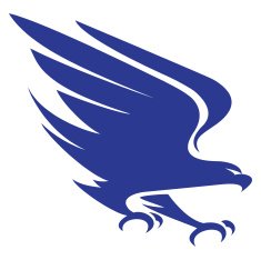 Eagle Attack N3