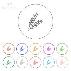 wheat ears N5