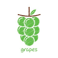sketch grapes fruit design