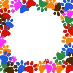 Colored pawprints frame on white background free image download