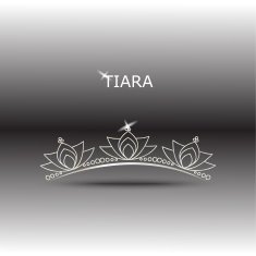 decorative tiara set 2