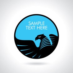 Graceful soaring eagle logo with outstretched wings N5