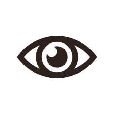 Eye Icon N21