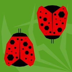 funny cartoon ladybird isolated on green background N2