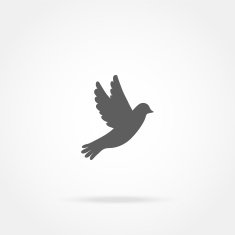 Bird Icon N21